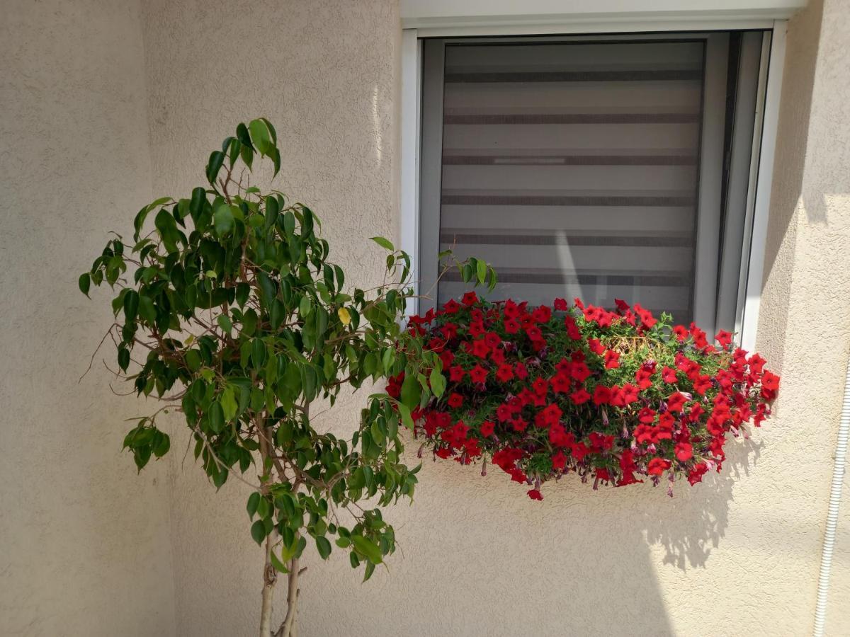 Leda Apartmani Smederevo Luaran gambar