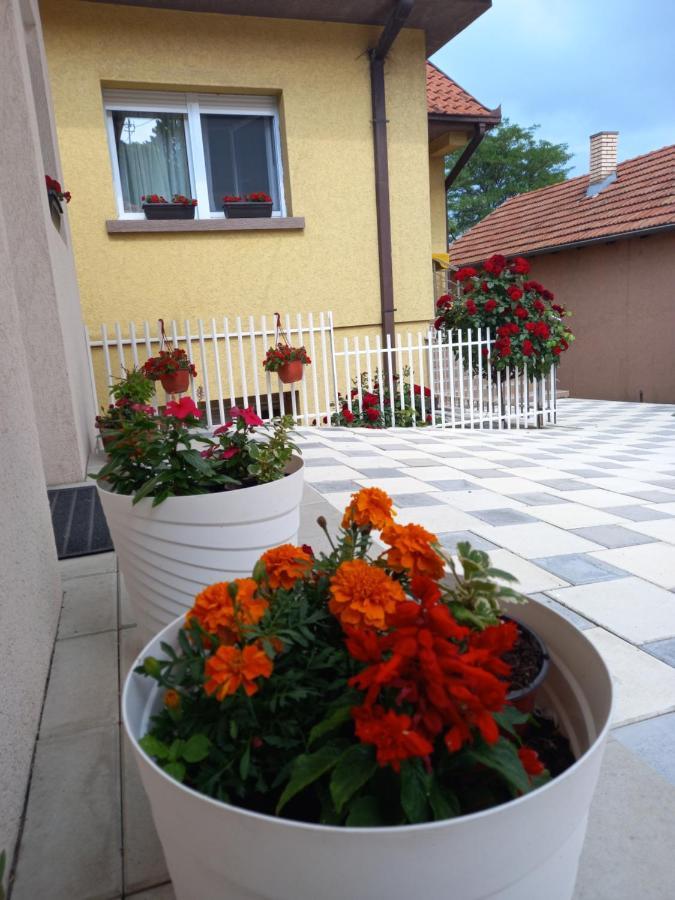 Leda Apartmani Smederevo Luaran gambar