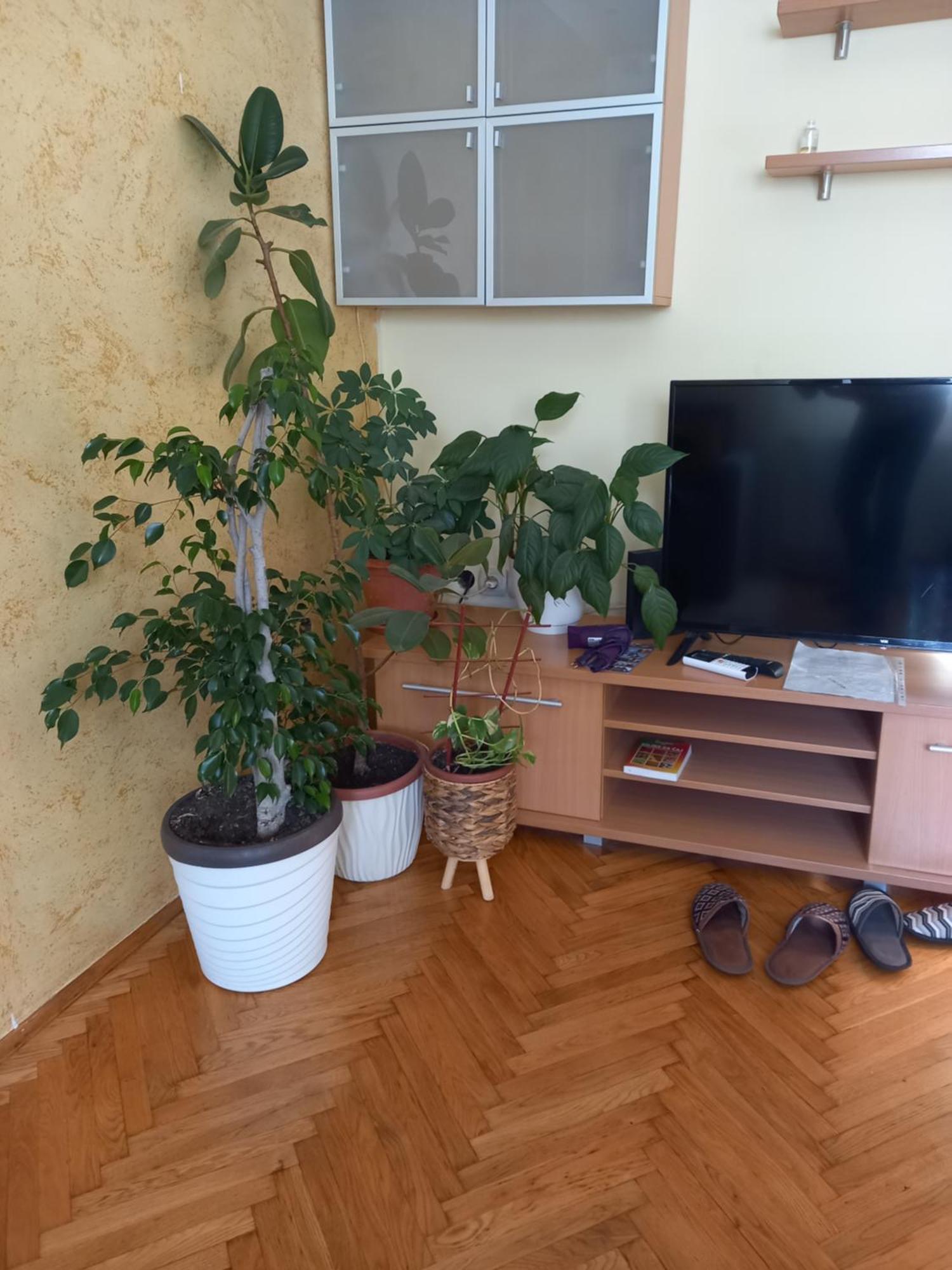 Leda Apartmani Smederevo Bilik gambar